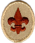 Boy Scout Scout Patch
